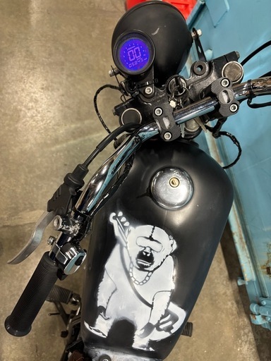 ボルティ250カスタムブラットスタイルSR.ST.グラストラッカー (パンダ