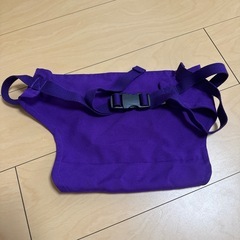 carry freeチェアベルトの画像