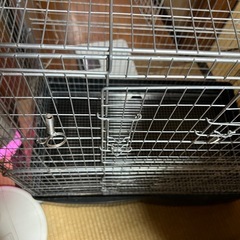 小動物ケージの画像