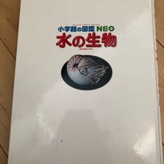 水の生物 図鑑 の画像
