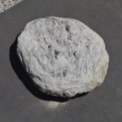【特価品】とび石(天然)　1,980円/個～の画像