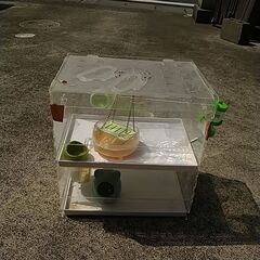 小鳥小屋、ハムスターゲージ、蝶々の虫籠の画像