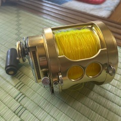 リールの画像