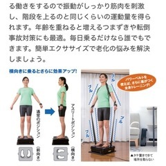 ルルドシェイプアップボードの画像