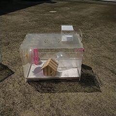 小鳥小屋、ハムスターゲージ、蝶々の虫籠の画像