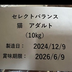 キャットフードの画像