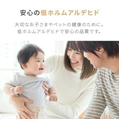 お庭芝生　モダンデコ　ゴルフ2の画像