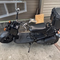 極上車ホンダ ZOOMER ズーマー AF58 キャブ の画像