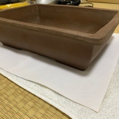 盆栽鉢の画像