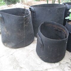 鉢　8個　家庭菜園　園芸　DIYの画像