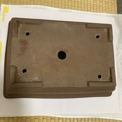 盆栽鉢の画像
