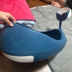 猫トイレの画像