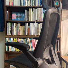 デスクチェア 全面メッシュ ヘッドレスト・アームレスト・ランバーサポート付 w33d69h45-53cm（高さは座面）の画像