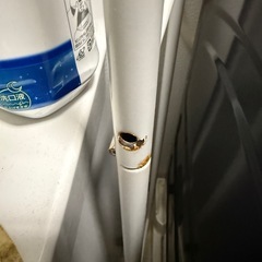 ニトリ　洗濯機ラックの画像