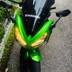 カワサキニンジャEX400Eの画像