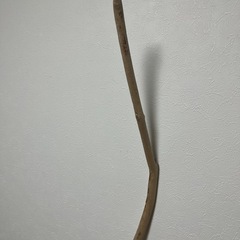流木の画像
