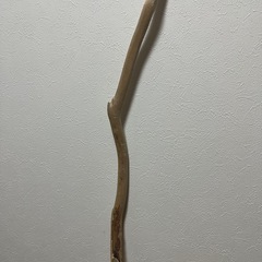 流木の画像