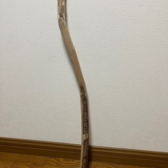 流木の画像