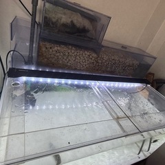 アクリル水槽の画像