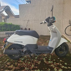 ホンダ　トゥデイの画像