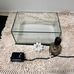 小型水槽セットの画像