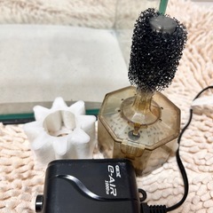 小型水槽セットの画像