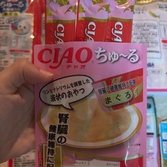 猫　おやつ　ちゅ〜る　ご飯セット 総額3000円以上の画像