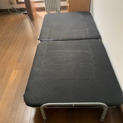折り畳みペットの画像