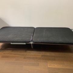 折り畳みペットの画像