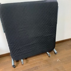 折り畳みペットの画像