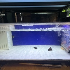 1200アクリル水槽の画像
