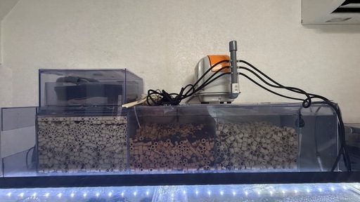 1200アクリル水槽