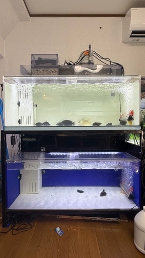 1200アクリル水槽