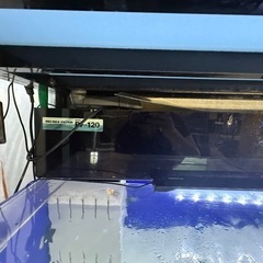 1200アクリル水槽の画像