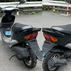 HONDA ライブDio AF34 の画像