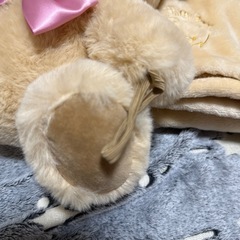 【お迎え募集中】ぬくぬくくまさんの画像