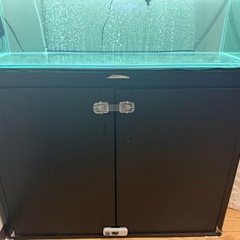 ガラス水槽900の画像