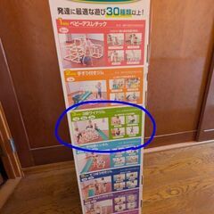 白いわんぱくジム　箱付きの画像