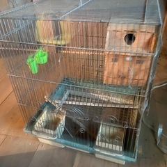 鳥籠の画像