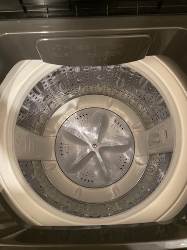 MAXZEN 全自動電気洗濯機 JW80WP01