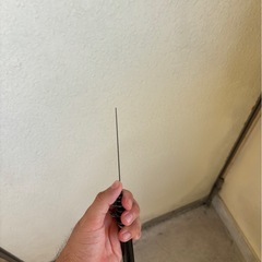 ダイワ　メガティス　1.75号　5.3Mの画像