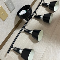 スポットライトの画像