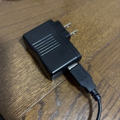 【9月末まで】リモコン付きライトの画像