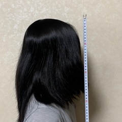 頭髪30cmくらい1頭分の画像