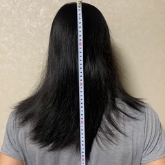 頭髪30cmくらい1頭分の画像