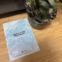 観葉植物オリーブの画像