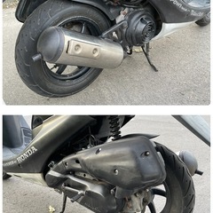 ライブDIO ZXの画像