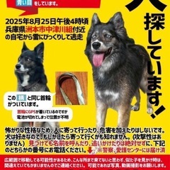 8月25日から行方不明に
