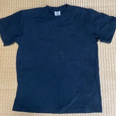 富士山Tシャツ　ユニセックスSサイズの画像