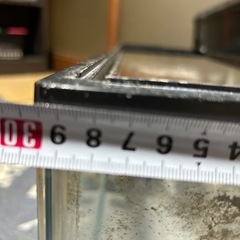 水槽60センチ！！の画像